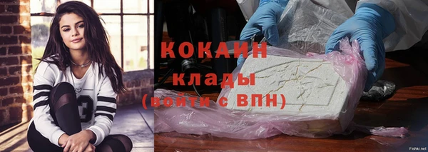 ПСИЛОЦИБИНОВЫЕ ГРИБЫ Бронницы