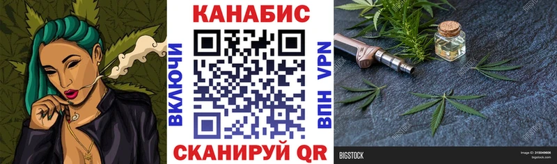 Конопля сатива  Кондрово 